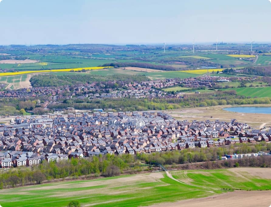 LiDAR point cloud showing terrain through vegetation