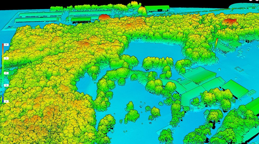 LiDAR drone survey revealing ground surface beneath trees